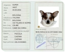 carta di identità di un cane